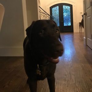 Meet your Posher, Audrey